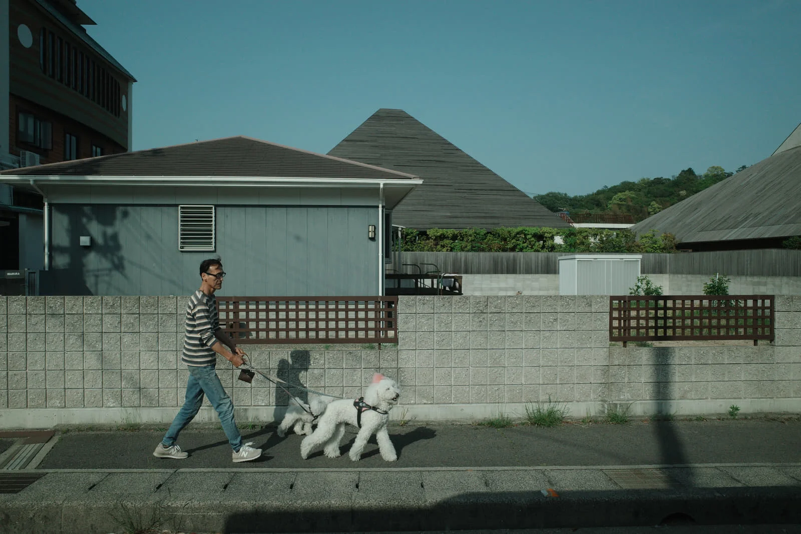 ZOUZOU studio installation photo