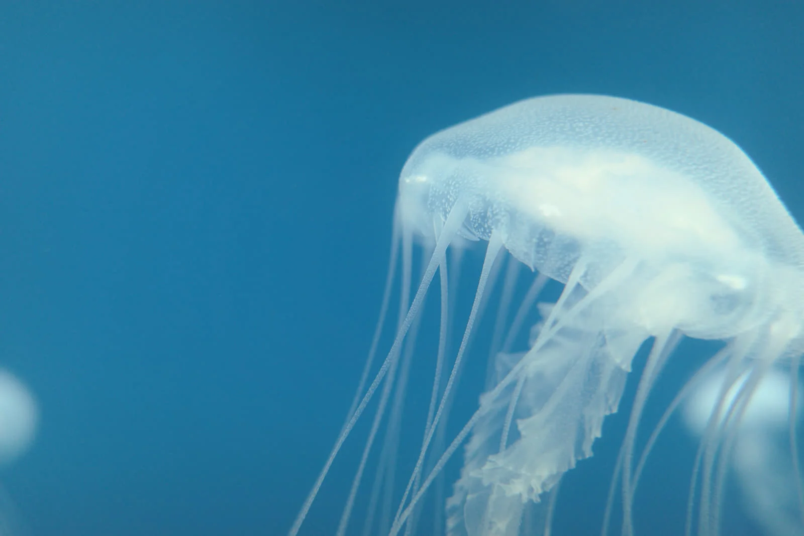 Ricoh GR III | 28mm f/2.8